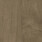 English Walnut Boyd