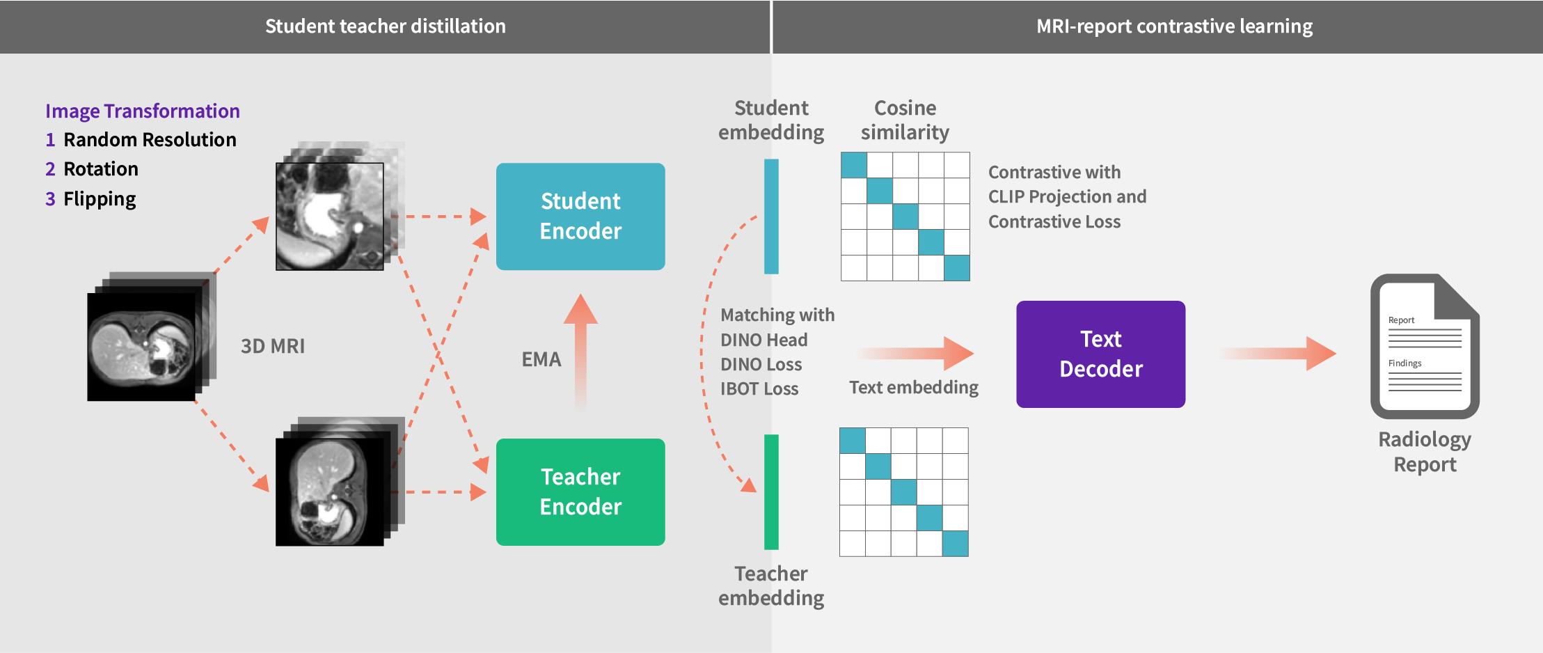 3D MR Distillation 2 (1).png