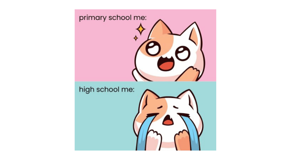 Text which states, 'Primary school me' with an image of a happy cat, and 'High school me', with an image of a sad cat.