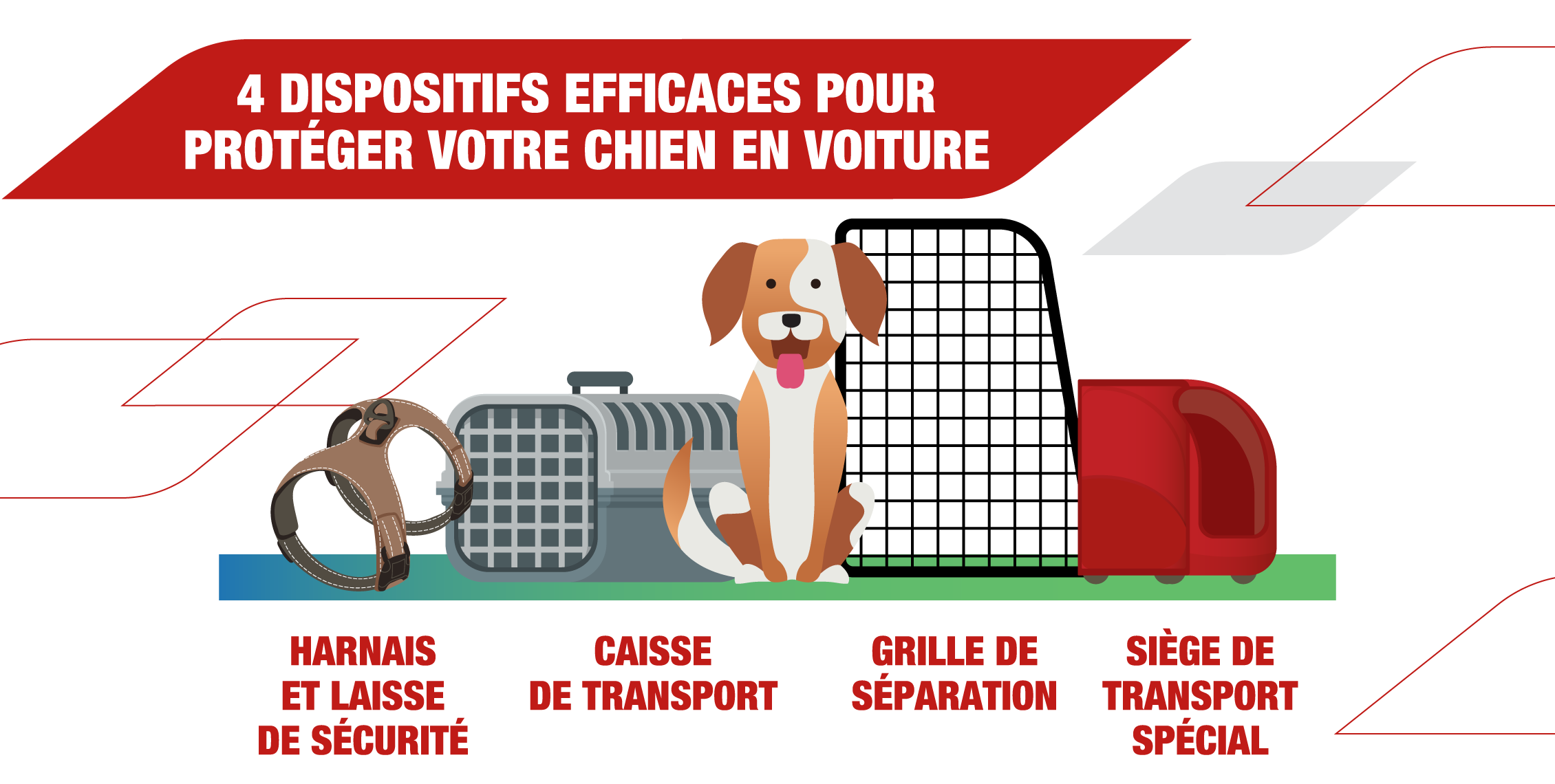 Dispositifs_efficaces_pour_proteger_votre_chien_en_voiture.png