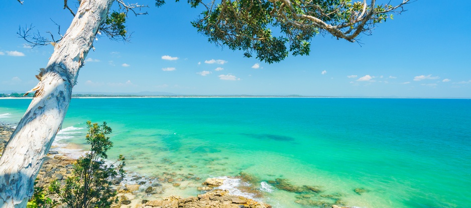 Rocky beach and blue ocean view with tree in Noosa
