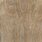 Bleached Elm