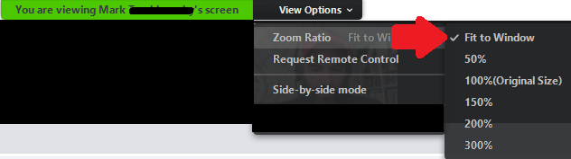 Screen Zoom Ratio