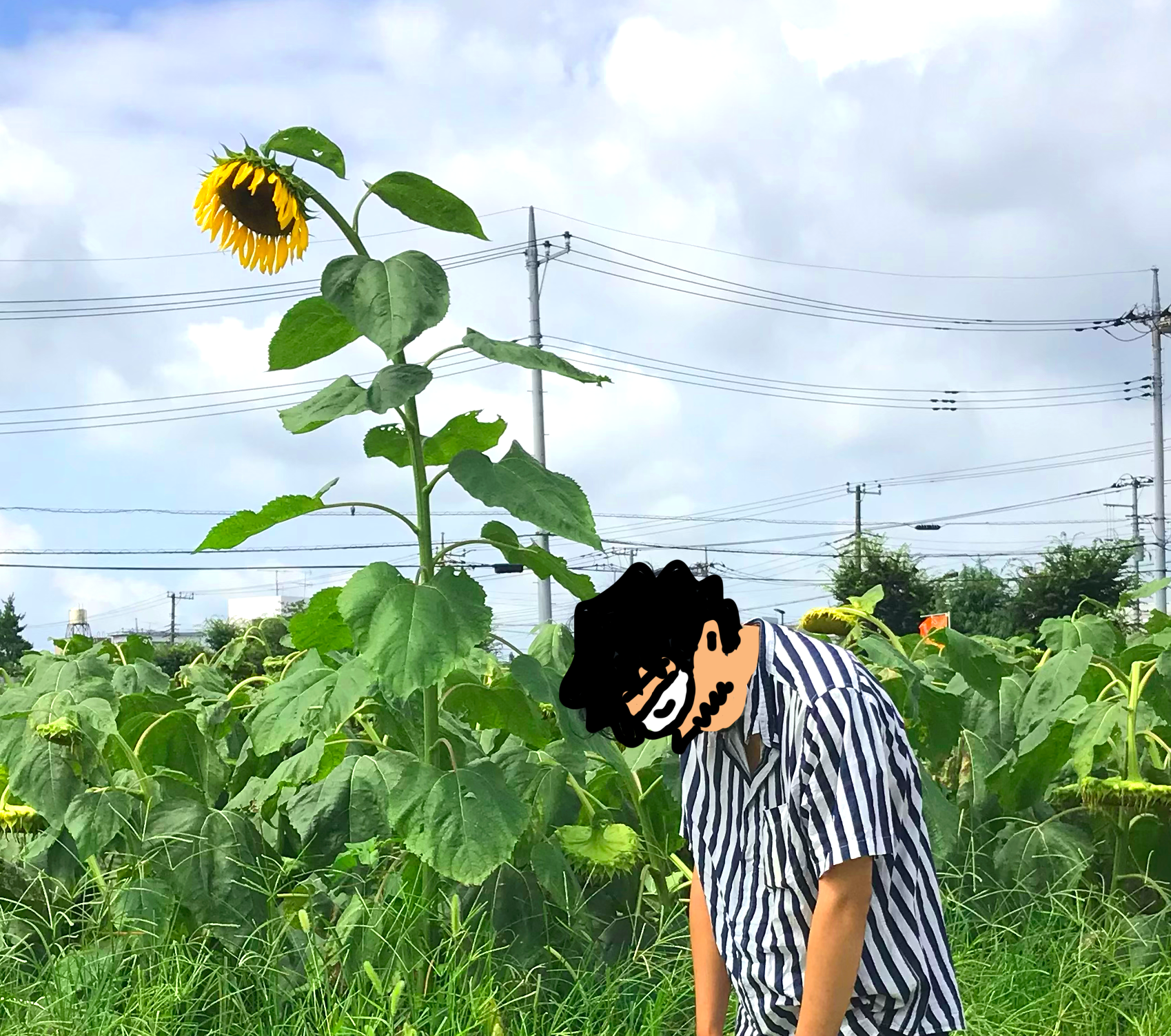 繝輔ｚ繝ｭ繝輔ぅ繝ｼ繝ｫ蜀咏悄.png