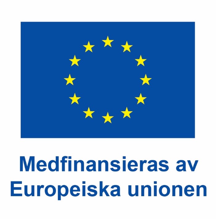 Bild p&aring; EU-flagga med texten "Medfinansieras av Europeiska unionen".