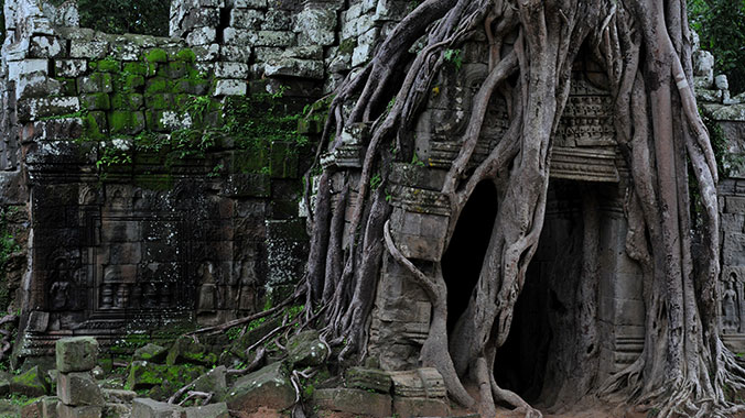 22617-Cambodia-Siem-Reap-Jungle-Temple-c.jpg