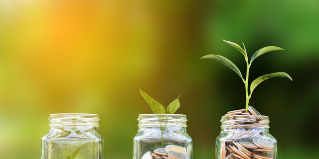 Conceptual coins in glass bottle and growing tree on nature background,Business investment growth concept