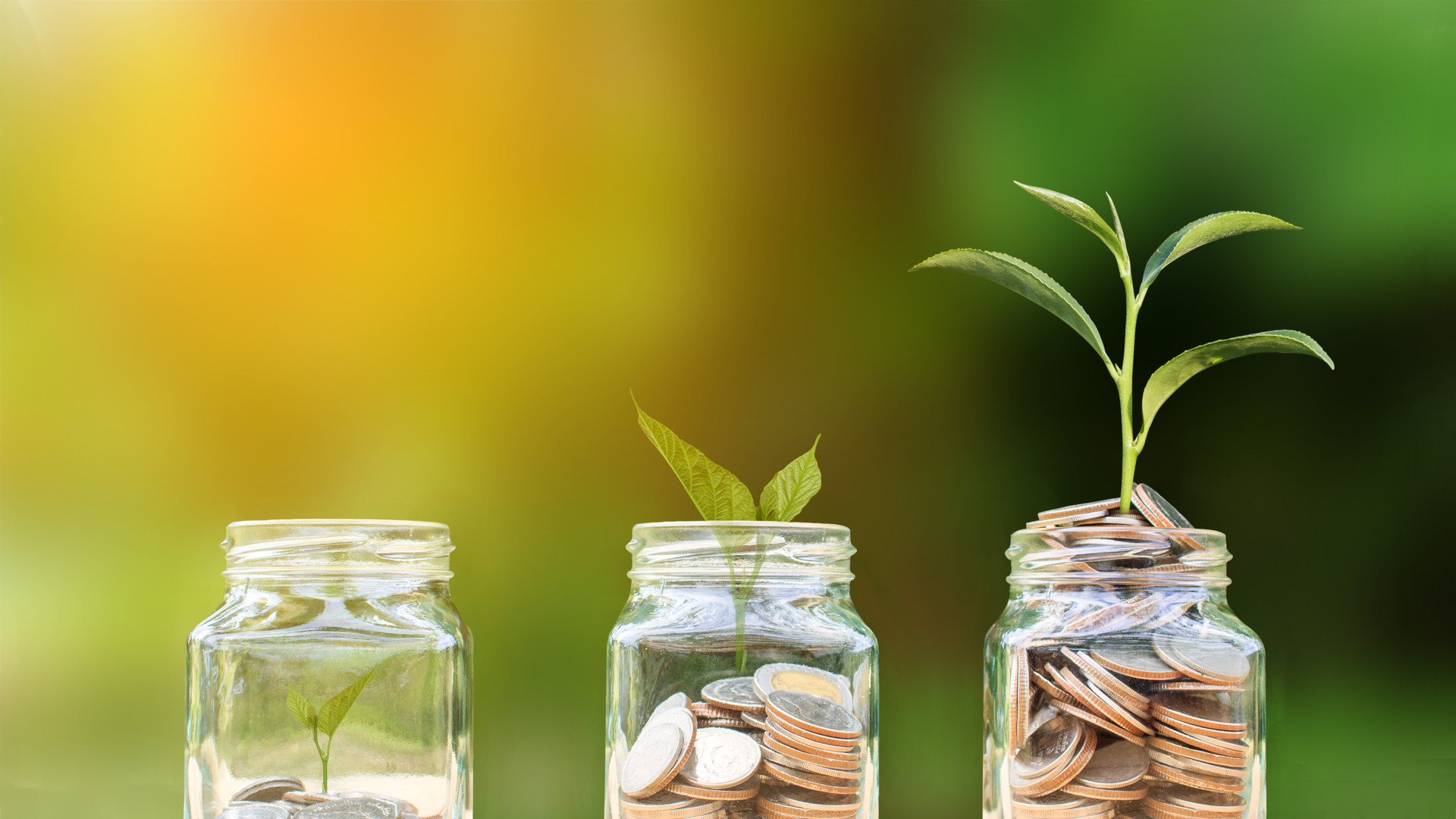 Conceptual coins in glass bottle and growing tree on nature background,Business investment growth concept