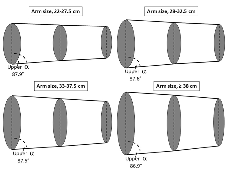 160_Palatini_Figure 1_Blood pressure measurement in the obese.jpg