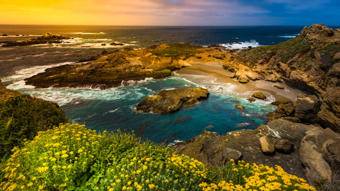 Magical Monterey