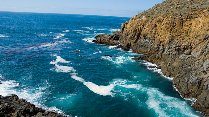 Mexico’s Baja Tip to Toe: Landscape, Heritage, People & Whales