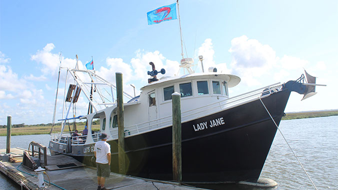 Best of St. Simons, Sapelo, Jekyll: An Island-Hopping Adventure