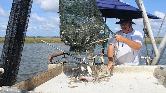Best of St. Simons, Sapelo, Jekyll: An Island-Hopping Adventure