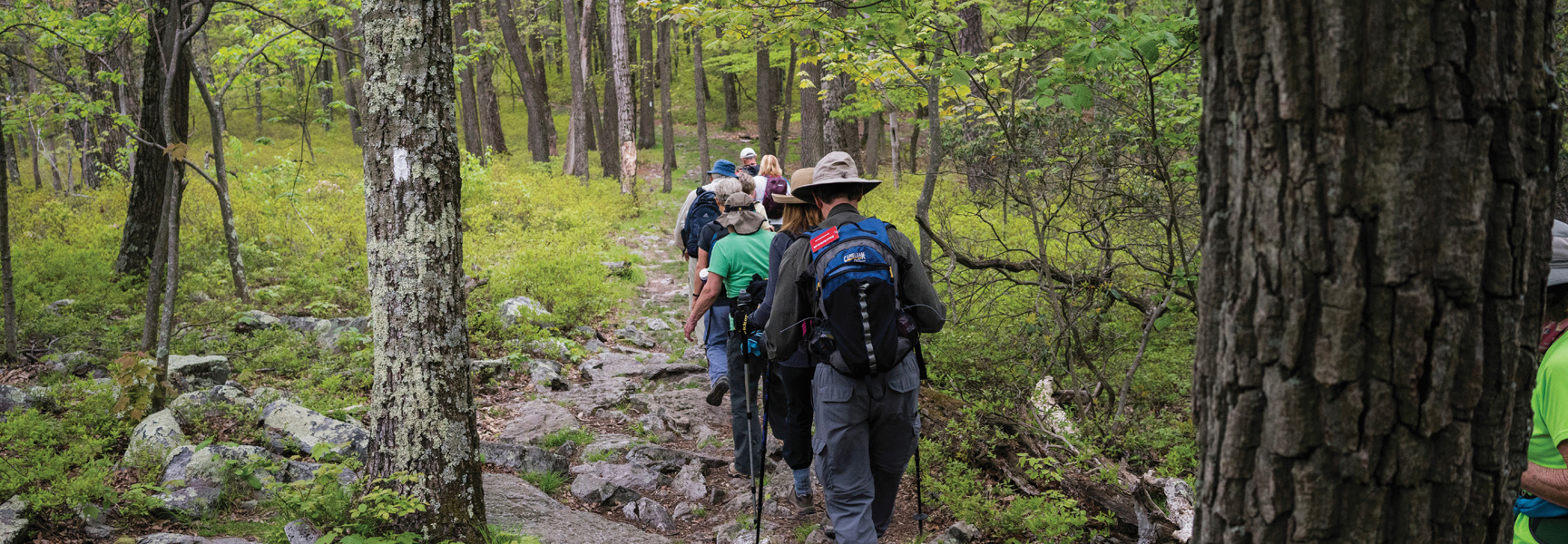 A group of hikers walks along the rocky Appalachian Trail in a lush green Pennsylvania forest.