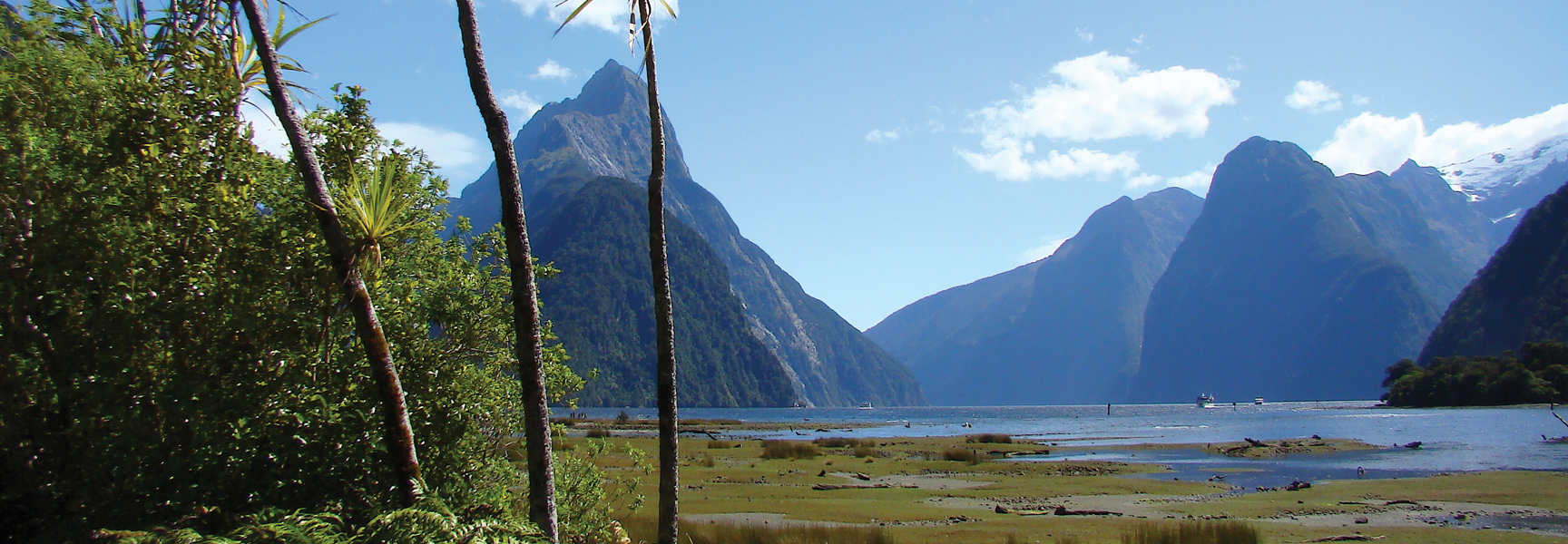 Tall, dramatic mountains rise from the water of a fjord in New Zealand, with lush greenery in the foreground under a blue sky.