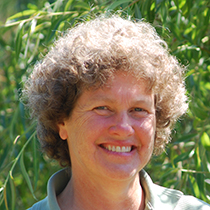 Profile Image of Shona Aitken