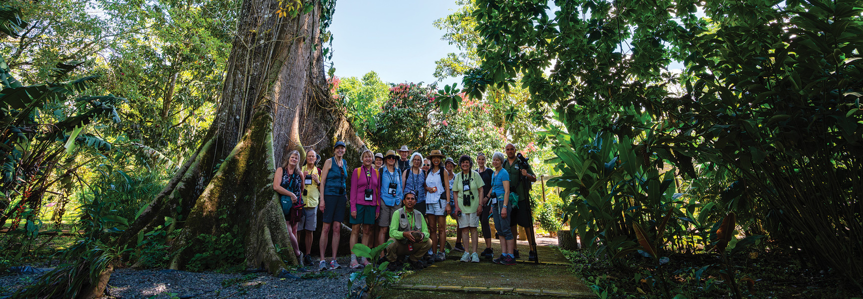 A group of travelers poses for a photo in front of a giant tree in a lush Costa Rican jungle.