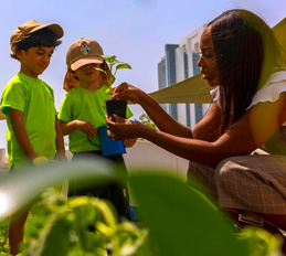 Initial Capacity Building