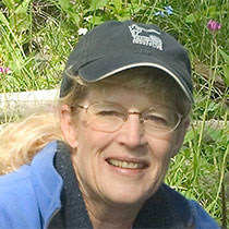 Profile Image of Meg Sommers