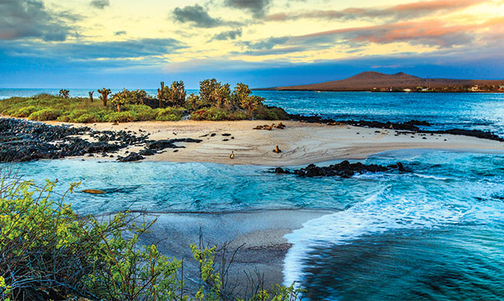 Discovering Machu Picchu & Galapagos