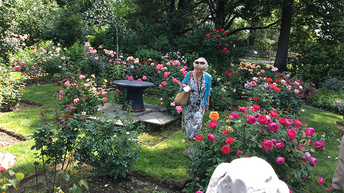 Topiaries, Pleasure Gardens and Botanical Gems in Philadelphia and Beyond