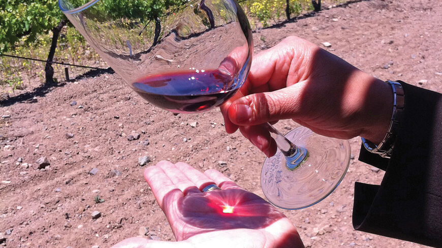 A person holds a glass of red wine over an open palm at a vineyard in the Guadalupe Valley, Mexico.