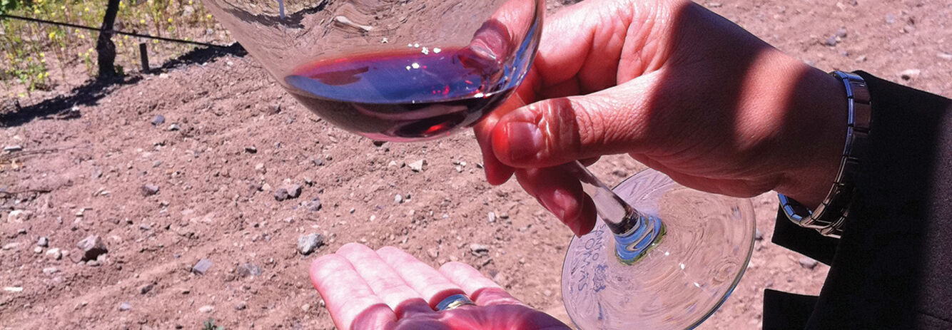 A person holds a glass of red wine over an open palm at a vineyard in the Guadalupe Valley, Mexico.
