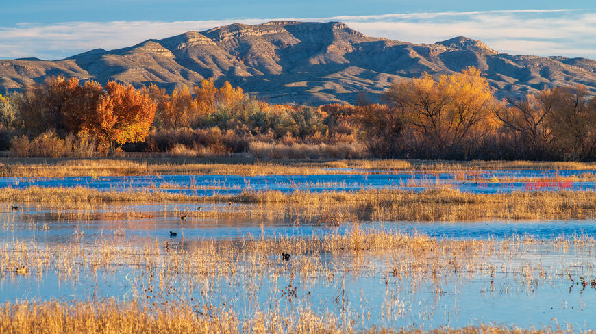 Rugged mountains tower over a southern New Mexico wetland with golden autumn trees and birds resting on the blue water.