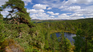 Scotland’s Highlands: A Stay at the Aigas Field Center