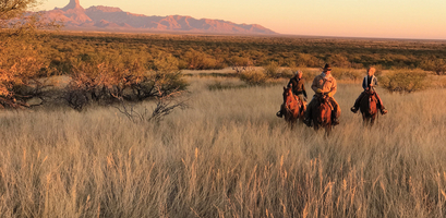Three riders on horseback traverse the golden grasslands of Rancho de la Osa in Arizona during a scenic sunset trail ride.