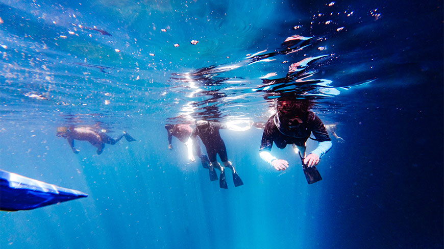 A group of people snorkeling in the clear blue waters of Española Island in the Galápagos.