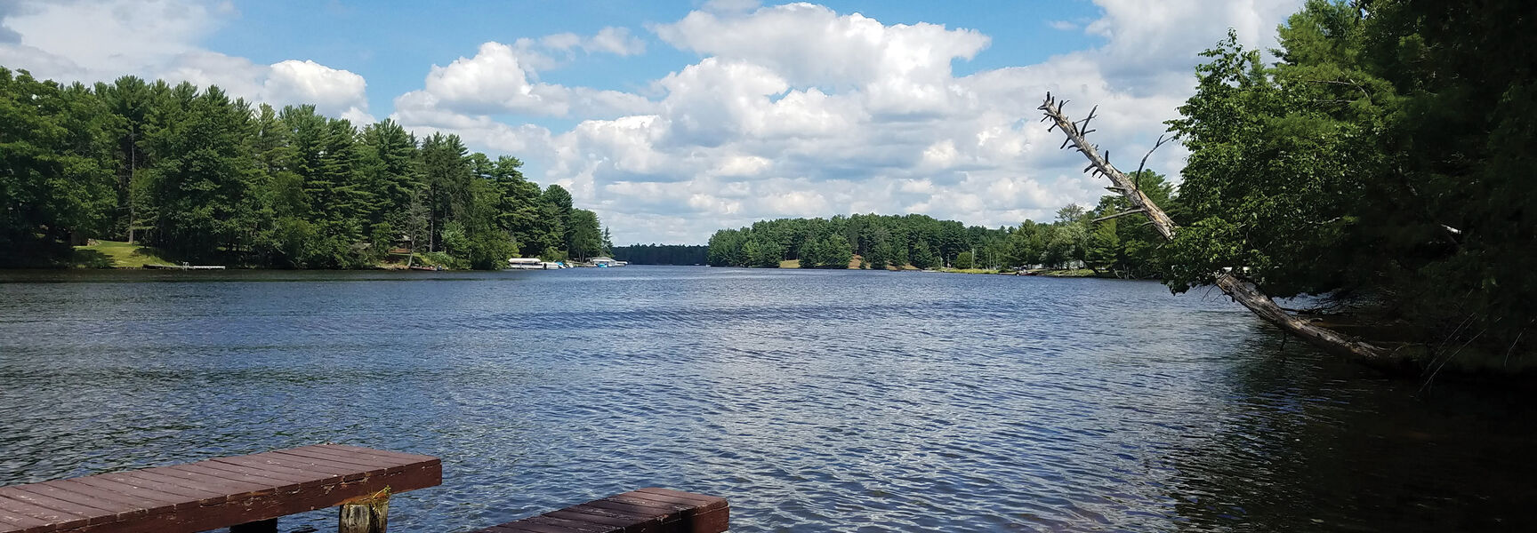 Three wooden docks extend into a calm Wisconsin Northwoods lake, surrounded by a lush pine forest under a bright blue sky with white clouds.