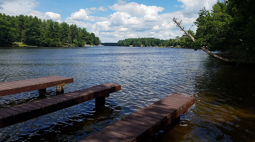 A wooden dock on a calm lake in Wisconsin, with a dense forest lining the shore under a blue sky with white clouds.