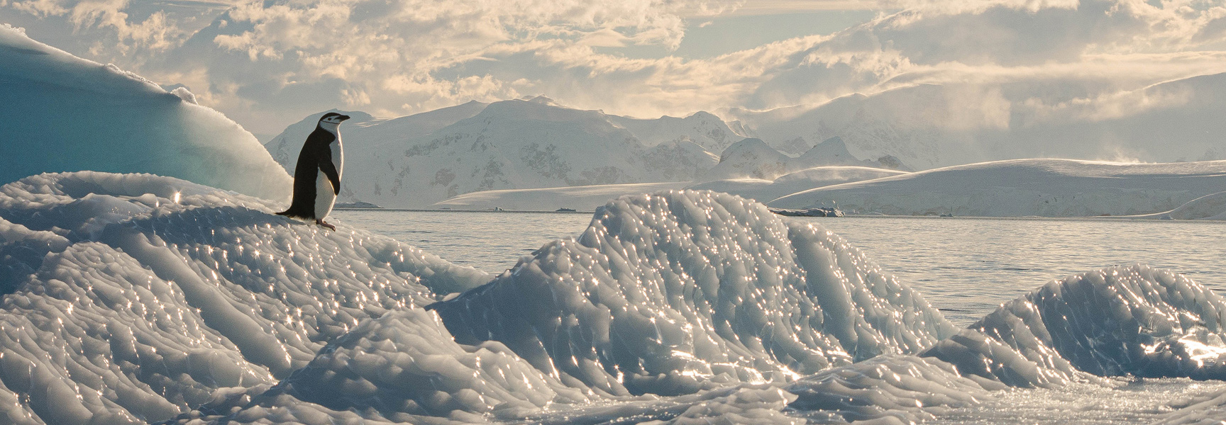 A lone penguin stands on a glistening iceberg, overlooking a vast, snowy Antarctic landscape with mountains in the background under a cloudy sky.