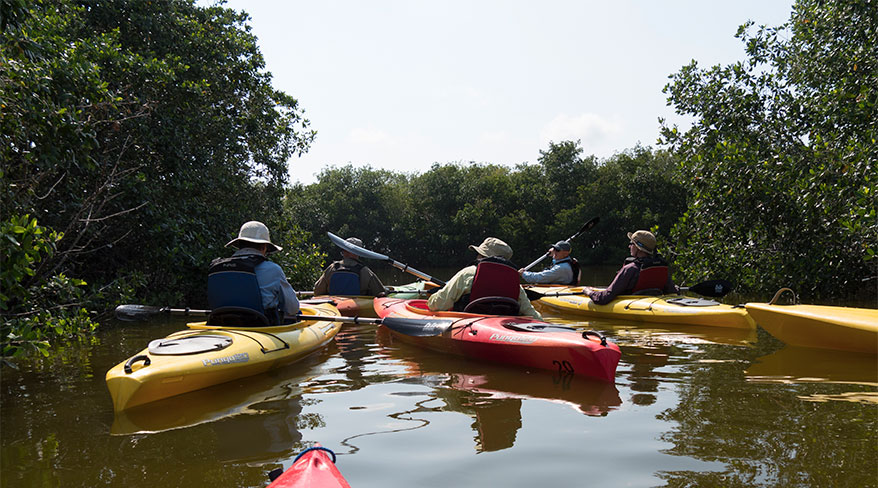 Hike, Bike, Kayak florida everglades