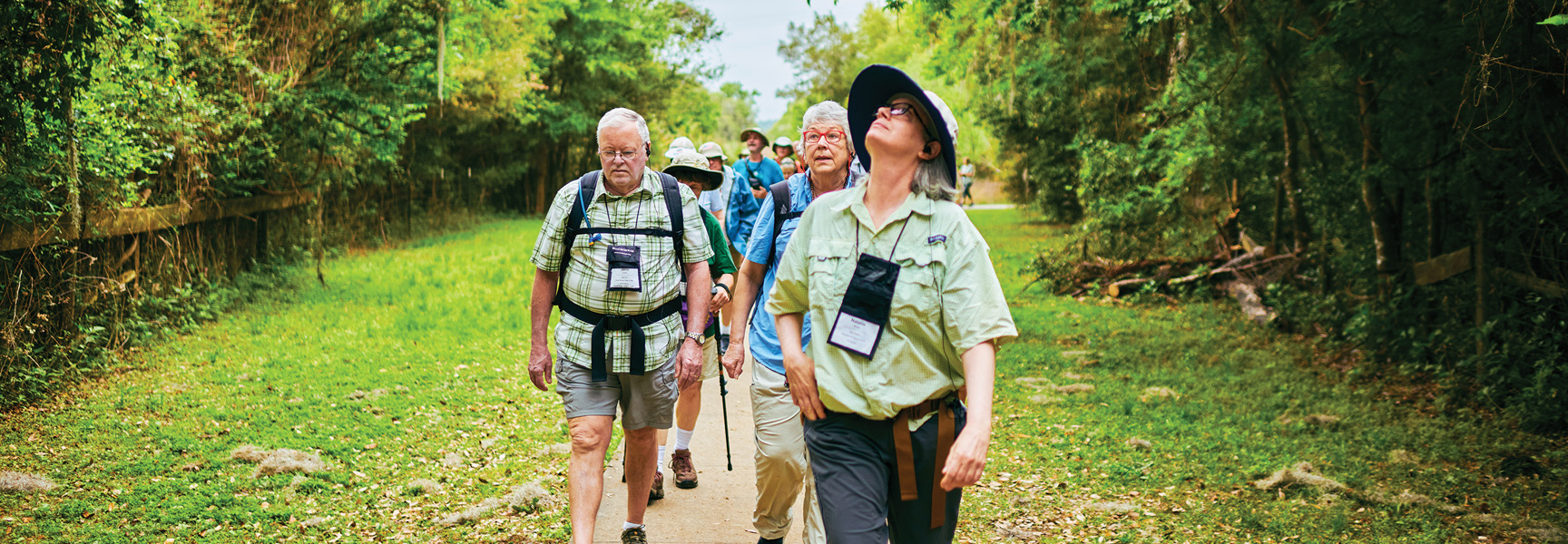 A group of people hike on a trail through the lush green forest of the Everglades in Florida.
