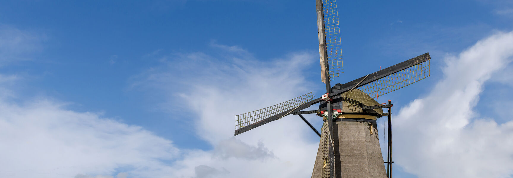 A traditional Dutch windmill overlooks vibrant rows of blooming tulip fields in the Netherlands under a bright blue sky.
