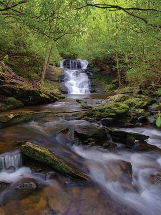 A scenic tiered waterfall cascades over mossy rocks through a lush forest in the Southern Blue Ridge Mountains of North Carolina.