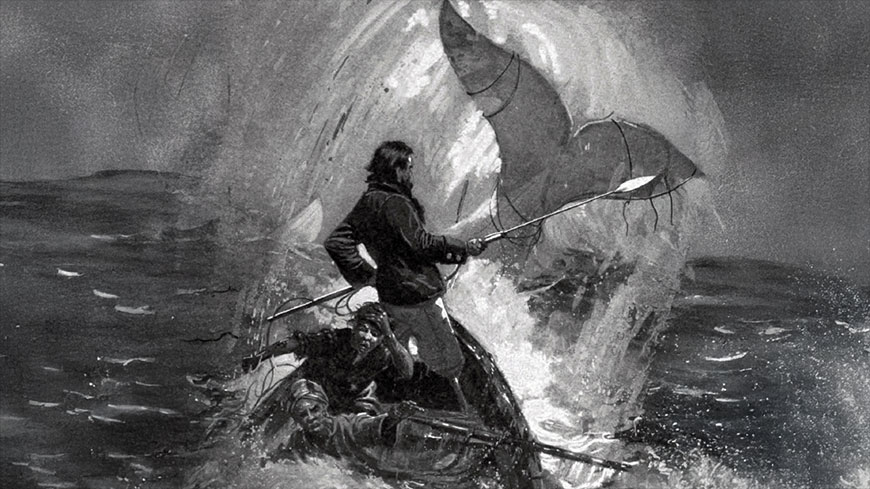 25265_Moby_Dick_illustration_lghoz.jpg
