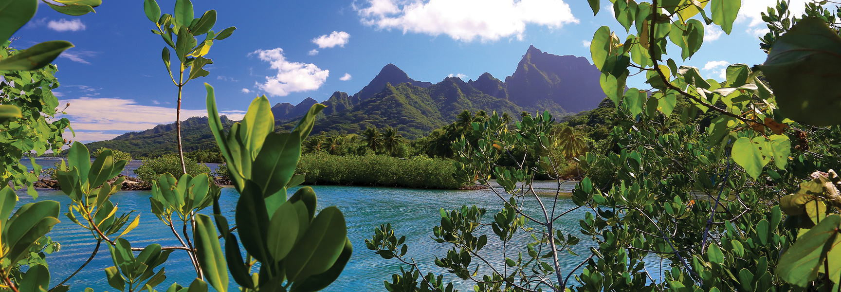 Lush green foliage frames a view of turquoise water and volcanic mountains in the Cook Islands and French Polynesia.