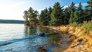 The sunlit, sandy shoreline of Lake Superior in the United States, bordered by a forest of green pine trees and clear blue water.