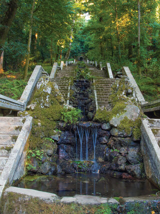 A series of mossy stone stairs with a central waterfall feature ascending through a lush green forest in Portugal.
