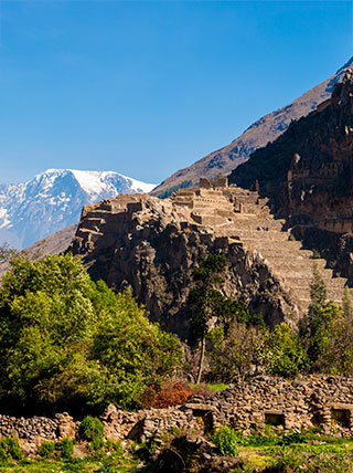Terraced stone ruins climb a steep mountain in the Sacred Valley, with lush green trees below and a snow-capped peak behind.