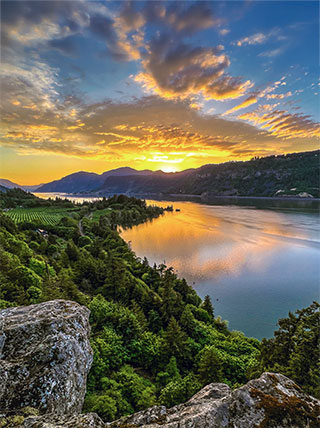 A vibrant sunset over the Columbia River Gorge in Oregon, with golden light reflecting on the water and lush green hillsides.