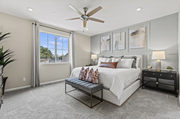 Everett Primary Bedroom