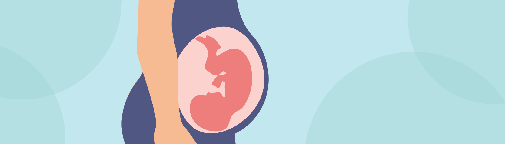 Pregnancy at week 36 | Pregnancy, Birth and Baby