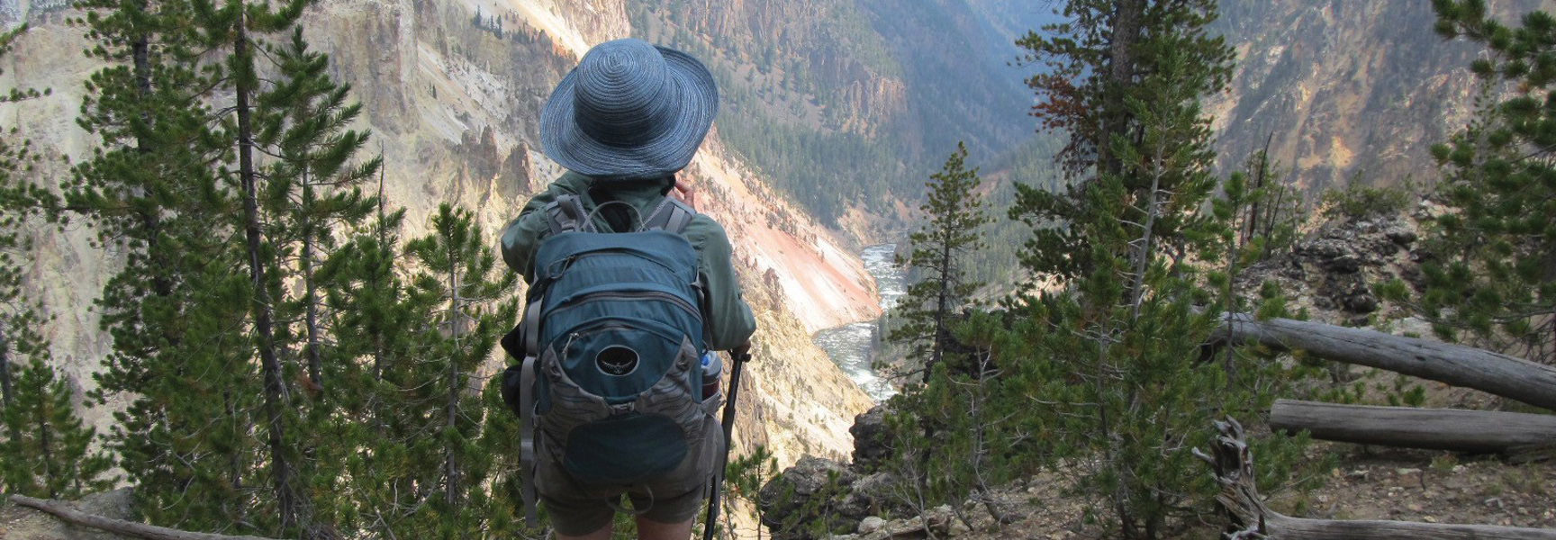 A hiker with a backpack looks out over a pine-forested canyon and river below during a walk in Yellowstone, Montana.
