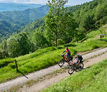 Dva kolesarja se vozita skozi čudovito slovensko pokrajino in odkrivata najlepše skrite kotičke Slovenije.