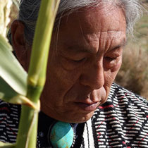 Profile Image of Louie Hena