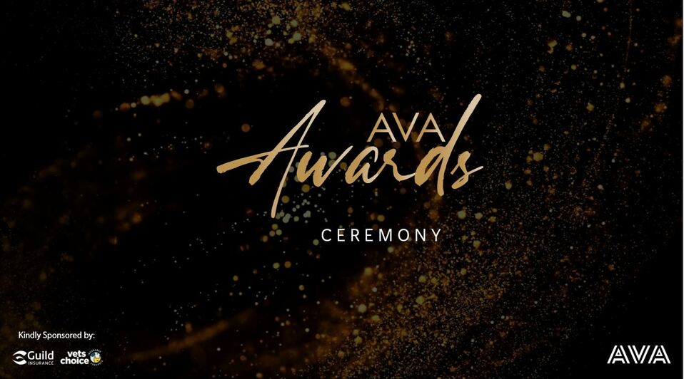 AVA Awards ceremony - slide.JPG
